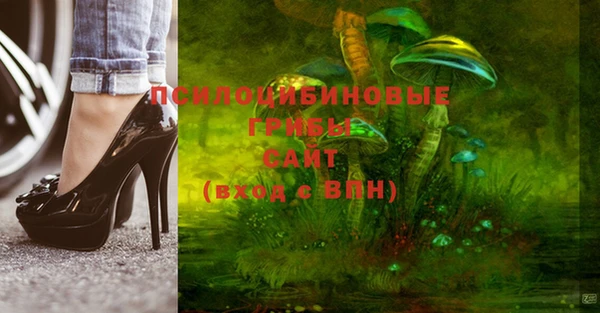 метамфетамин Туринск
