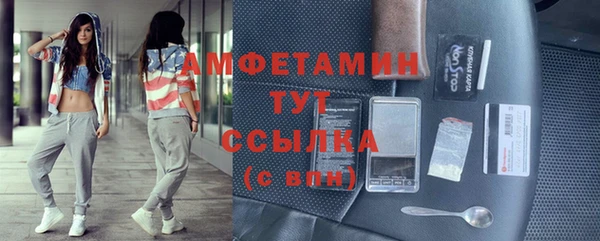 молекула духа Вязьма