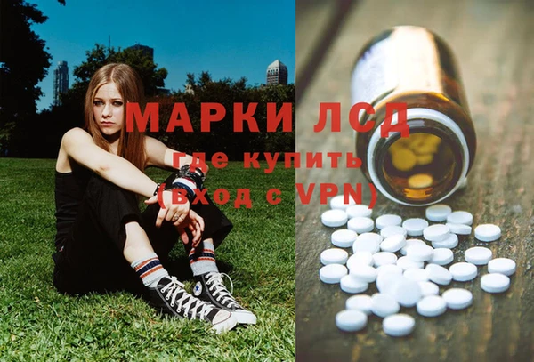 молекула духа Вязьма
