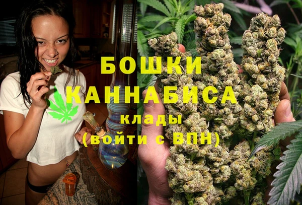 не бодяженный Гусев