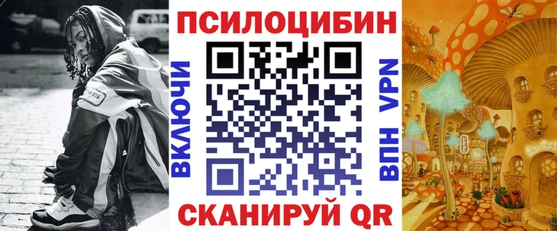 Псилоцибиновые грибы мицелий  Дрезна 